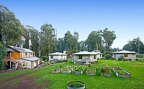 Karma Kinglake