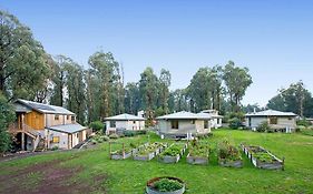 Karma Kinglake
